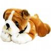 Plüss Bulldog kutya 30cm - Keel Toys