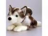 kutya Husky 45 cm-es plüss - Keel Toys