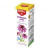 Dr.Herz Echinacea csepp C-vitamin 50ml