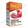 BioCo Csipkebogyós RETARD C-vitamin 500 mg