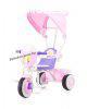 Chipolino Spring szülőkormányos tricikli Pink