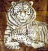 Ágytakaró plüss pléd, 230x200 cm, barna tigris család