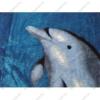 Don Kék delfines Ágytakaró Pléd 200 x 240 cm