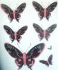 Csillogós pillangók, 3D falmatrica